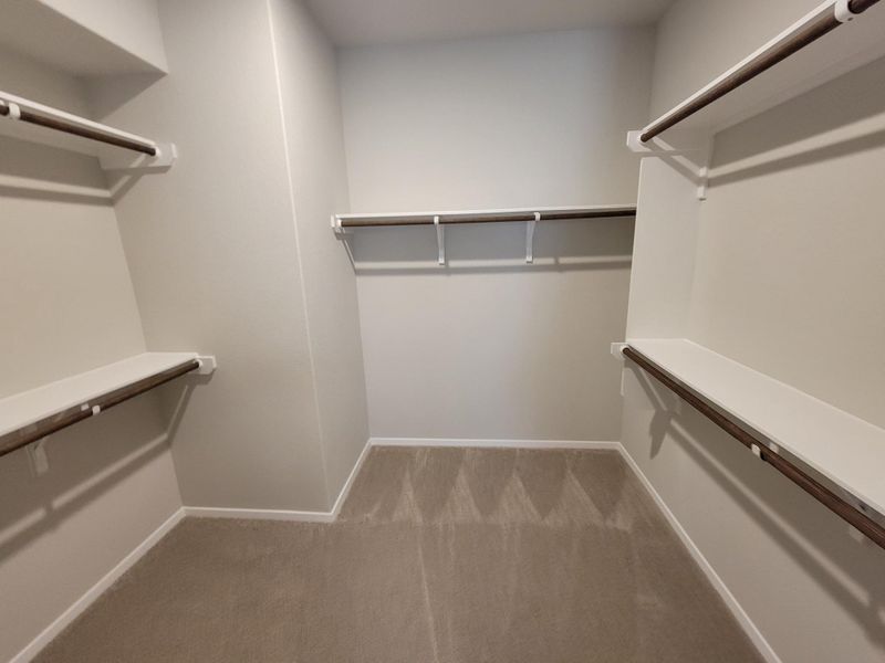 Walk in closet with carpet flooring