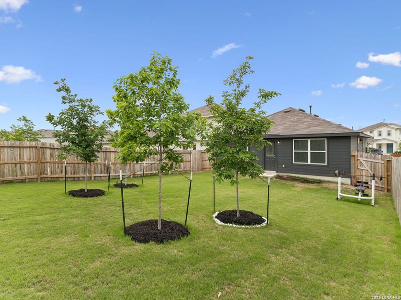Exterior details and patio area of a home in , San Antonio (Image 3).