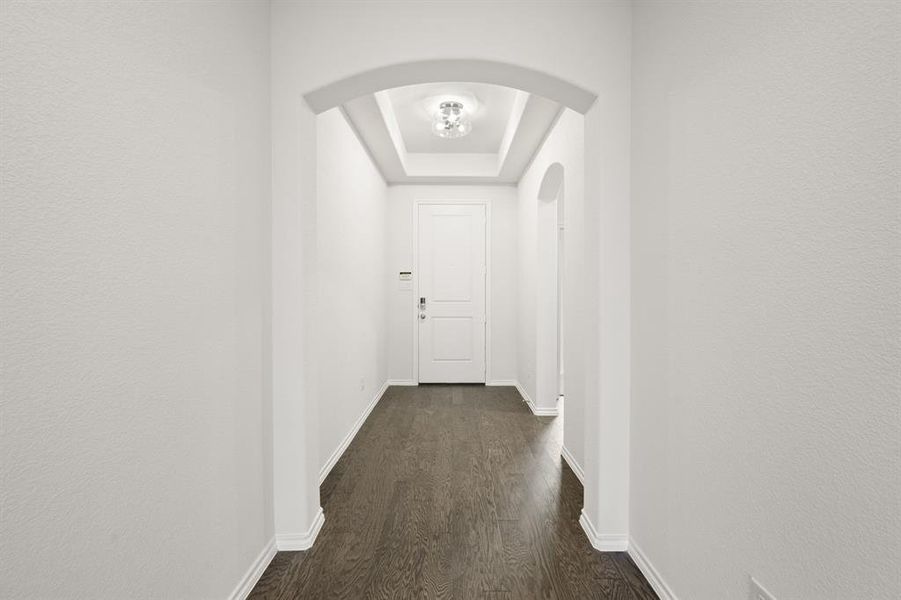 4536 Lyre Leaf- Entry