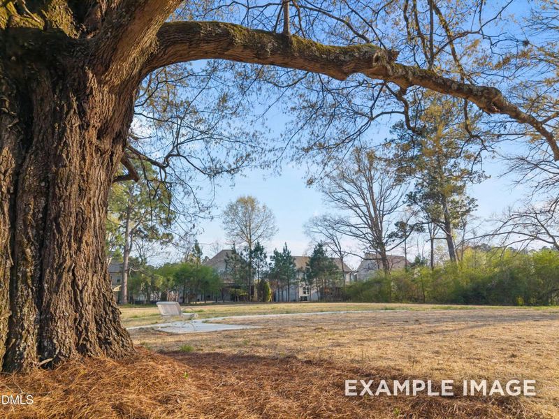 Natural landscape and outdoor views near Camden Park in Knightdale (Image 29).