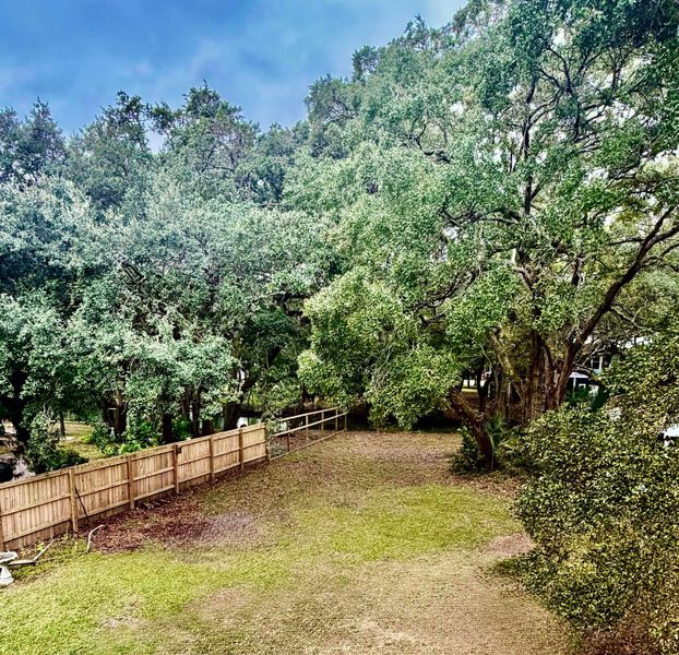 Natural landscape and outdoor views near  in Mount Pleasant (Image 12).