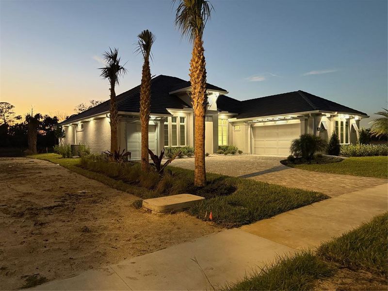 Ample Security Lighting w/Palms Lining Front & Back Yard Ample Security Lighting w/Palms Lining Front & Back Yard