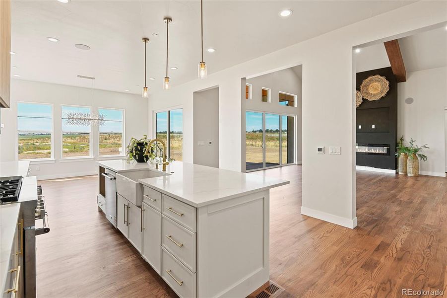 Kitchen/Dining/Great room