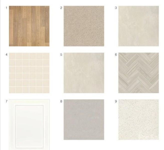 558 Silver Star Boulevard design selections! This home is currently under construction and selections are subject to change