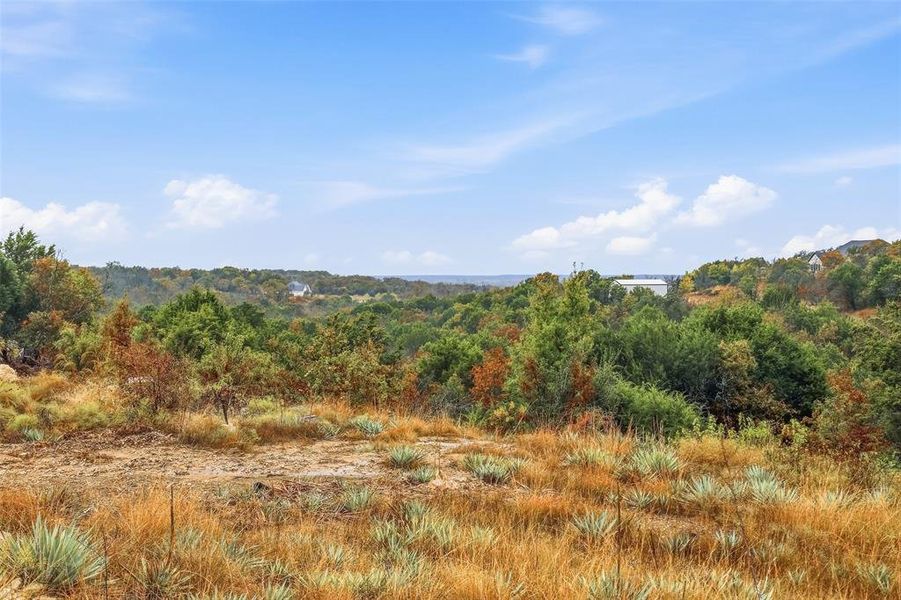 View of mountain backdrop with a heavily wooded area View of mountain backdrop with a heavily wooded area