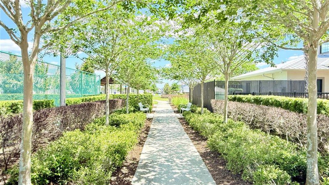 Natural landscape and outdoor views near  in Kissimmee (Image 42).