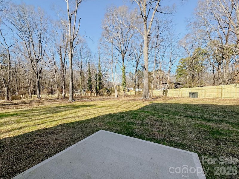 Natural landscape and outdoor views near  in Huntersville (Image 34).