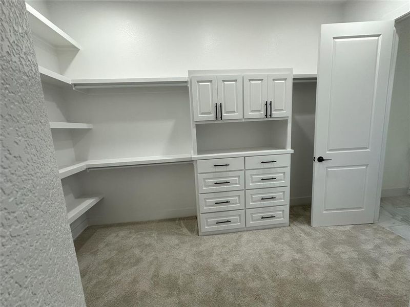 Spacious closet featuring light carpet