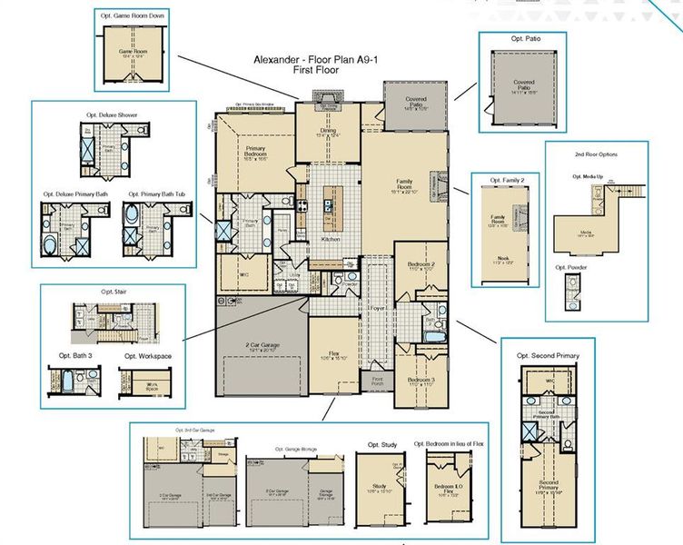 Alexander A9-1 Floor Plan