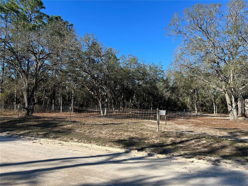 Natural landscape and outdoor views near  in Williston (Image 9).