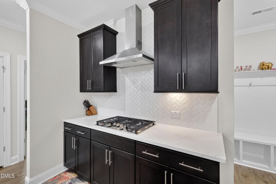 Gas Stove