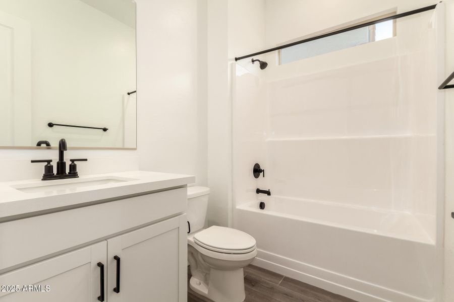 27 - Wollemi 43513 27 - Wollemi 43513