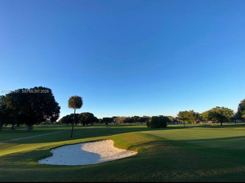 Natural landscape and outdoor views near  in Miami Springs (Image 15).