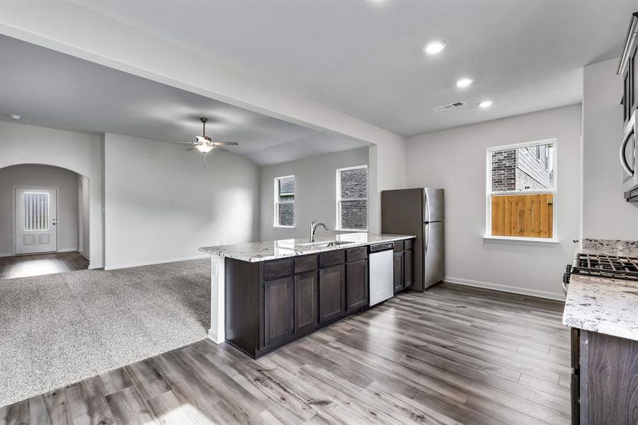 Kitchen featuring carpet, a healthy amount of sunlight, light stone counters, and stainless steel appliances