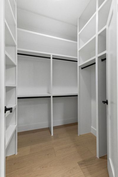 Walk in closet featuring light wood-style floors