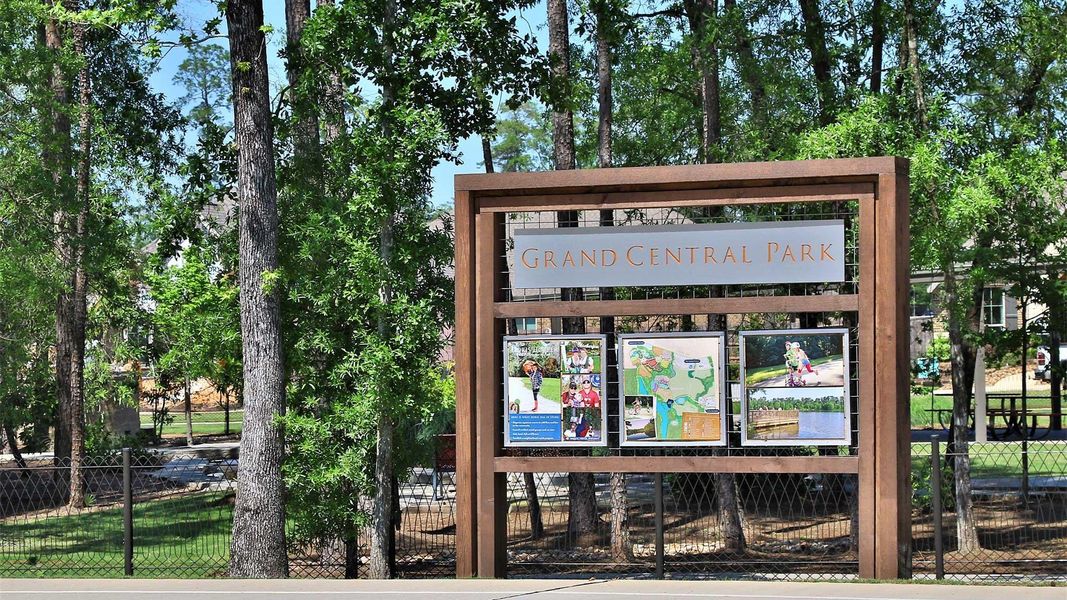 Image 17 of a home in Grand Central Park 45'.