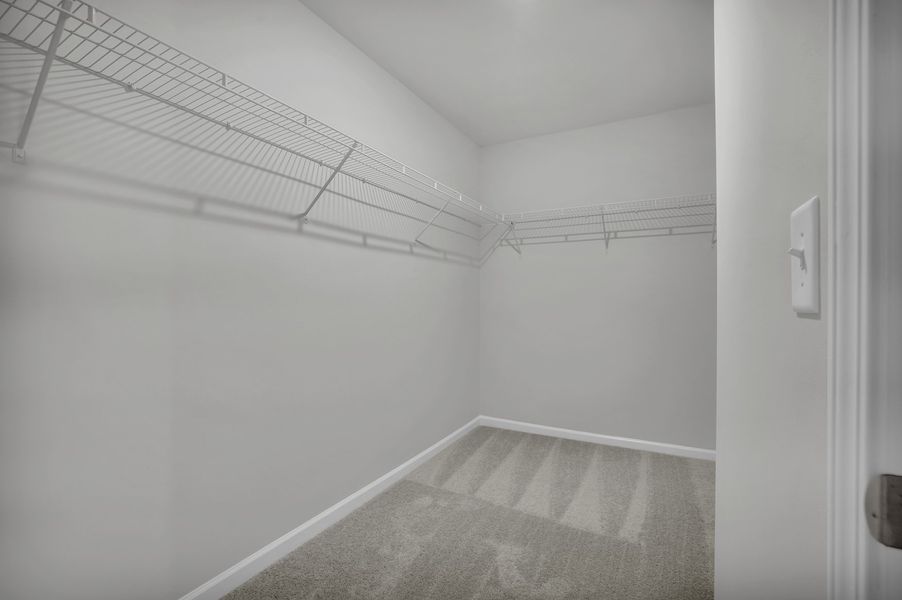 Spacious, unfurnished interior of a new home in River Tide Farms, Bolivia (Image 20). Spacious, unfurnished interior of a new home in River Tide Farms, Bolivia (Image 20).