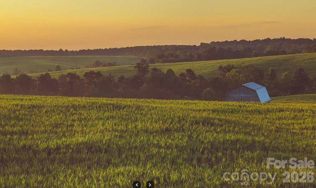 Natural landscape and outdoor views near  in Morganton (Image 18).