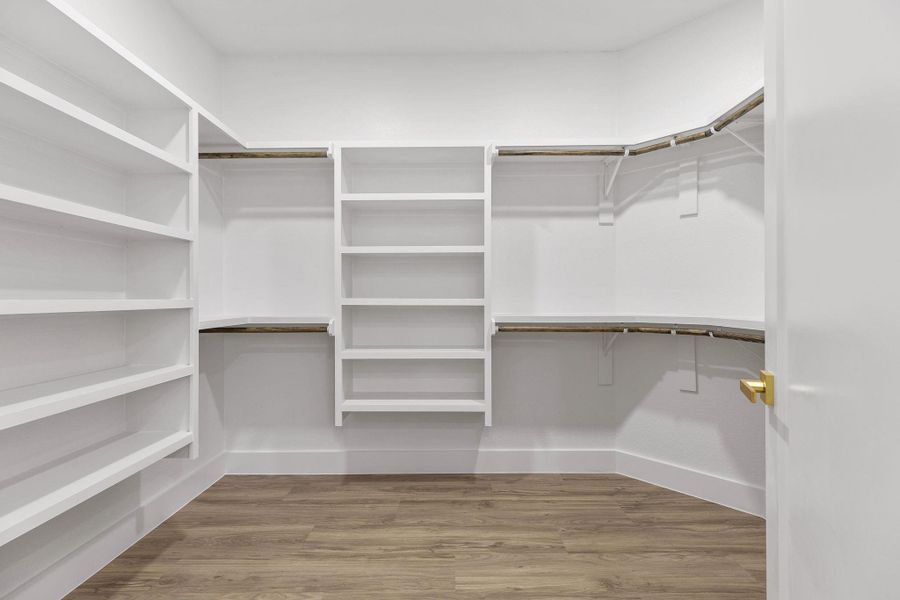 Walk in closet with light wood-style flooring