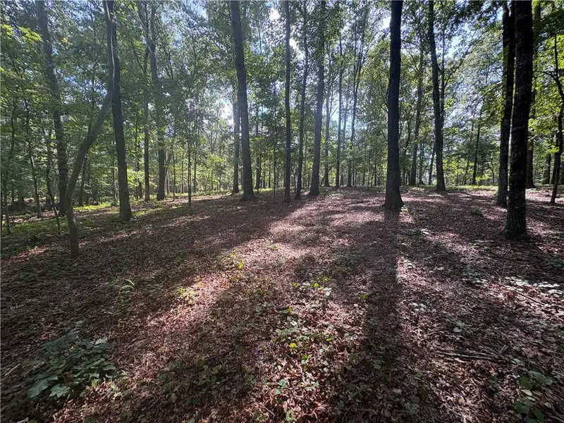 Natural landscape and outdoor views near  in Dawsonville (Image 50).