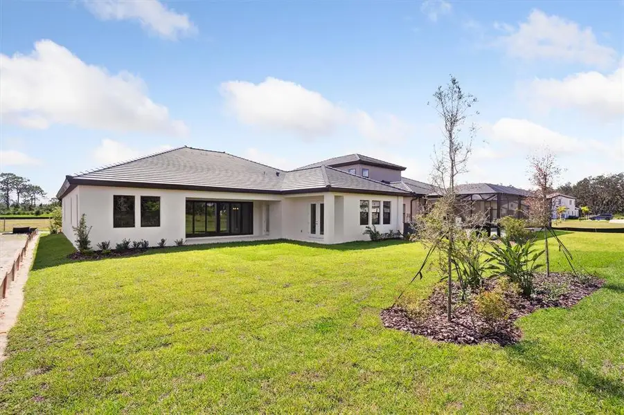 Exterior details and patio area of a home in Triple Creek, Riverview (Image 2).