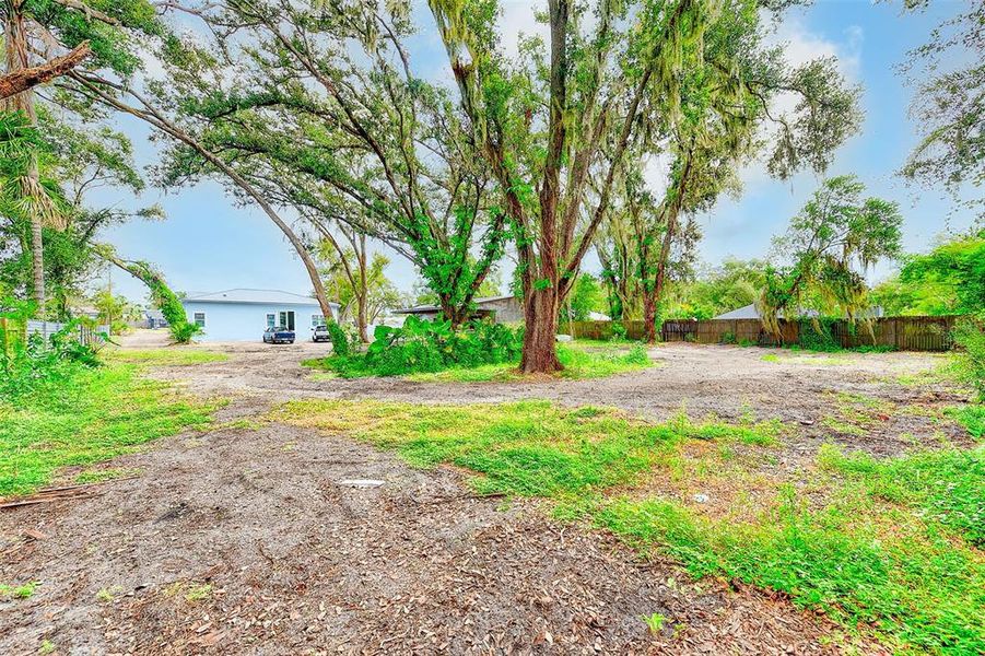 Natural landscape and outdoor views near  in Riverview (Image 15).
