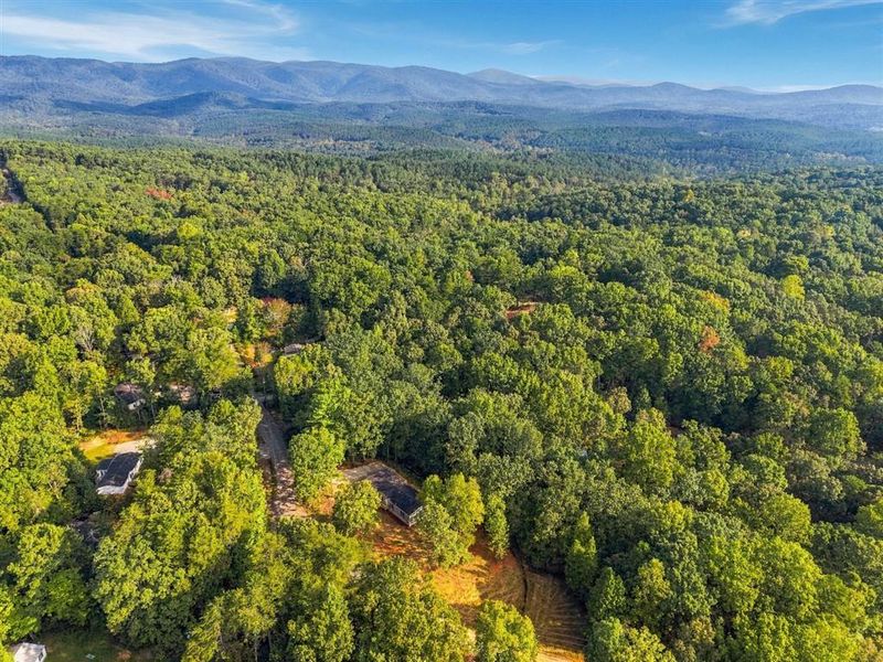 Natural landscape and outdoor views near  in Dawsonville (Image 33).