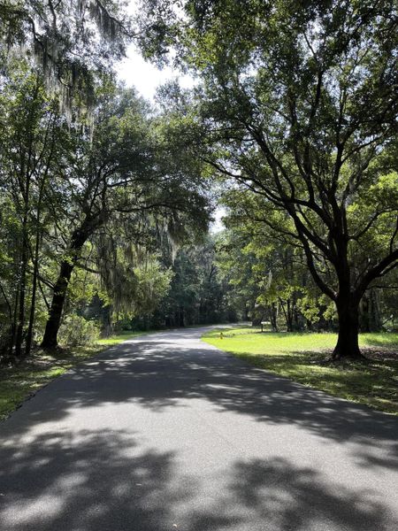 Natural landscape and outdoor views near  in Johns Island (Image 28).