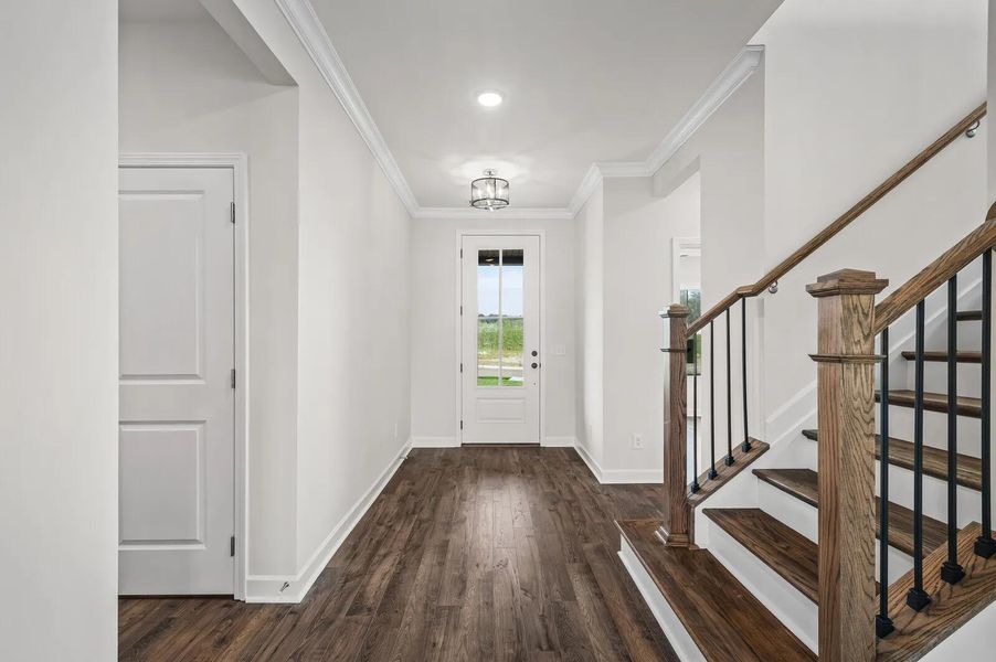 Dahlia B Foyer