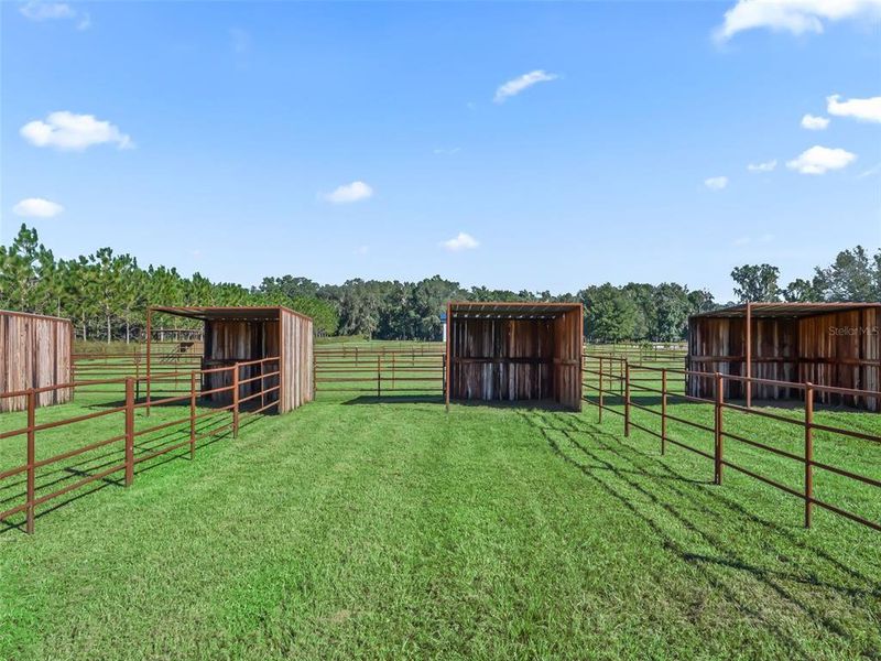 Community amenities in , Reddick (Image 35). Community amenities in , Reddick (Image 35).