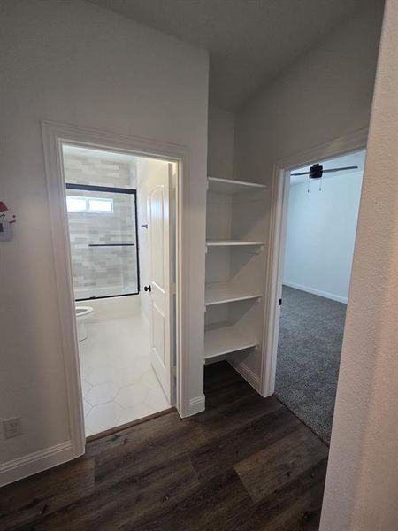 Hallway with dark wood finished floors
