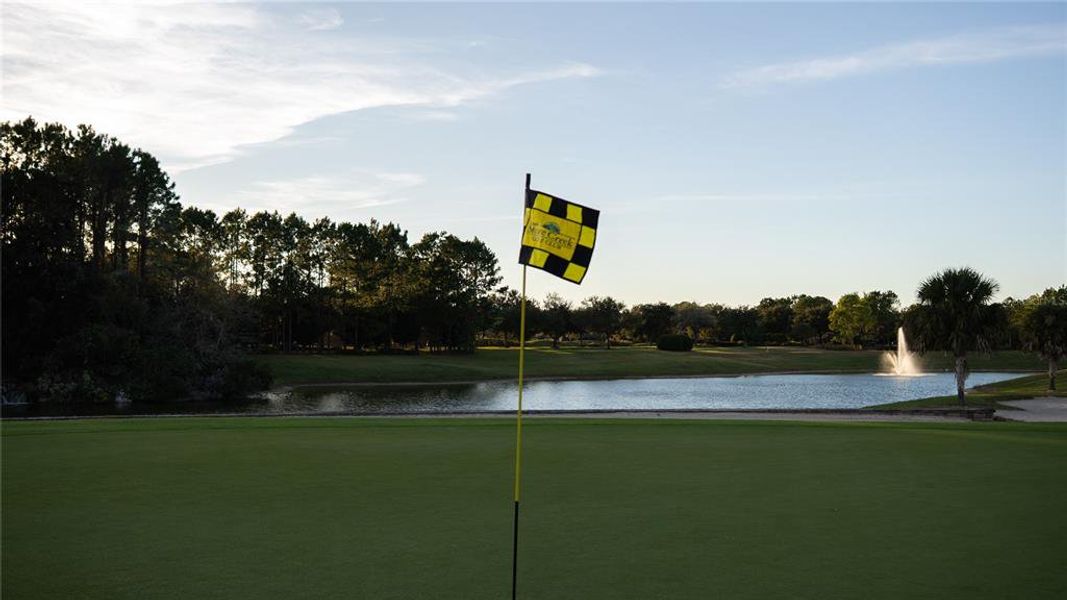 Image 64 of a home in .