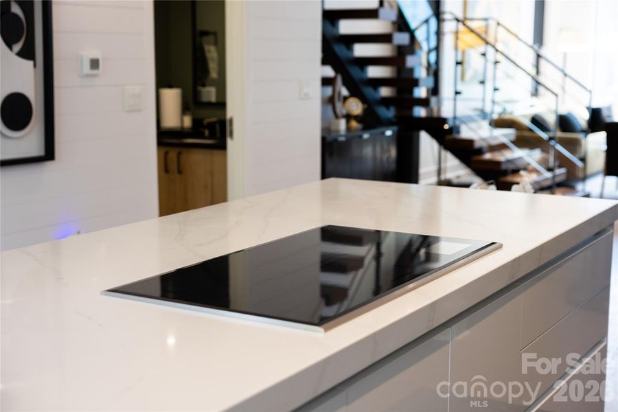 Induction Stove