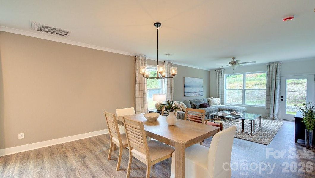 Photos are representative