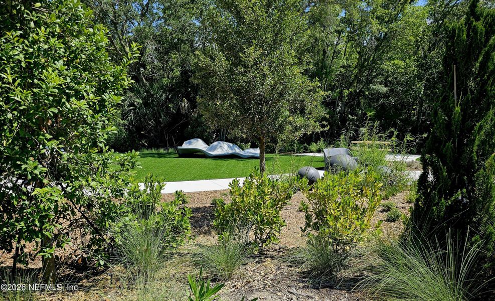 Natural landscape and outdoor views near  in Jacksonville (Image 21).