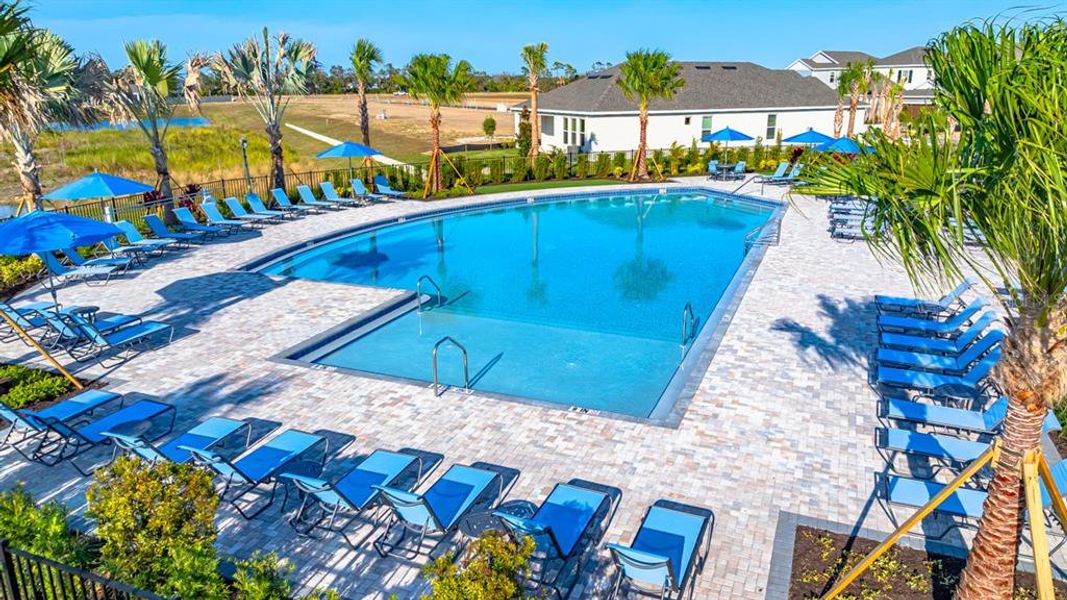 Community amenities in Indigo Creek, Apollo Beach (Image 38).