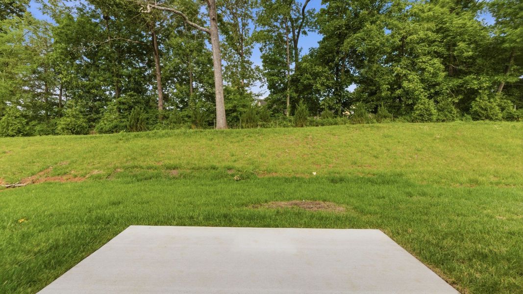 Read patio and view of backyard Read patio and view of backyard