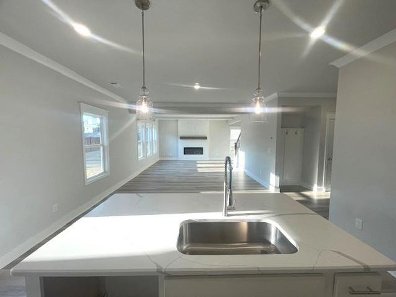 Close-up of interior finishes inside a home in Ponderosa Farms Estates, Gainesville (Image 15).