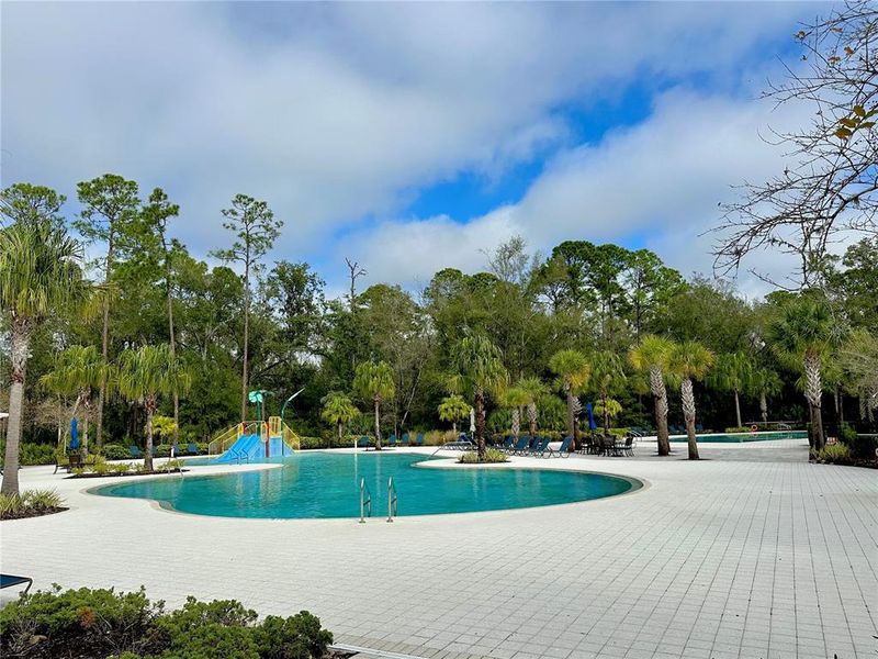 Community amenities in , Land O' Lakes (Image 46). Community amenities in , Land O' Lakes (Image 46).