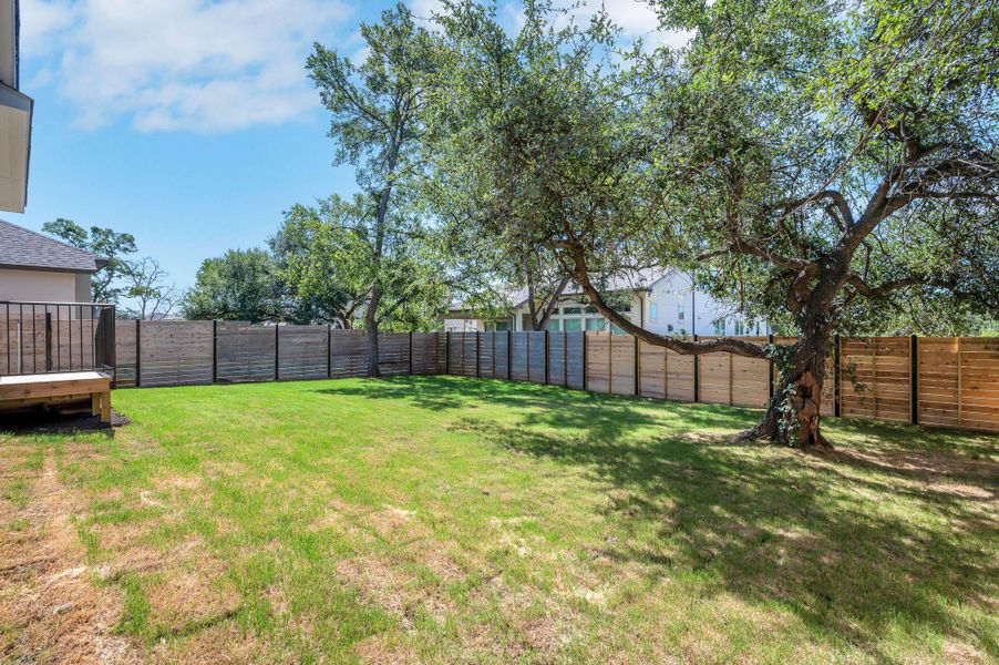 View of fenced backyard