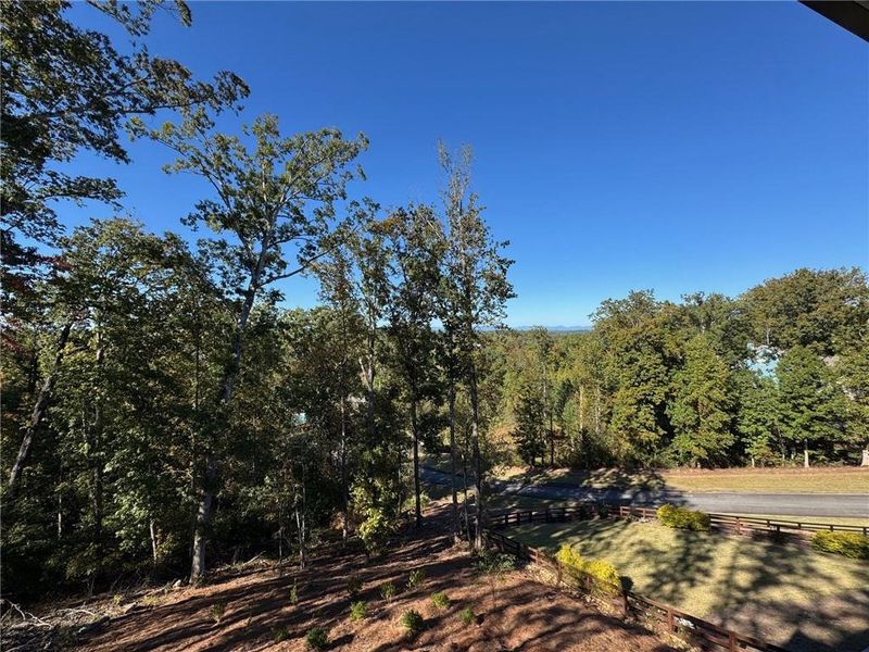 Natural landscape and outdoor views near  in Dawsonville (Image 37).