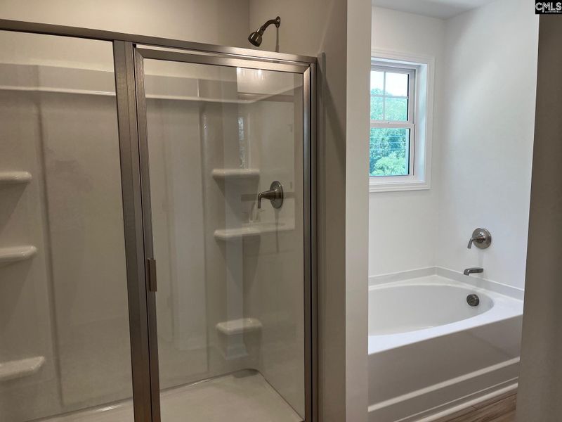 Image 39 of a home in Blythewood Farms.