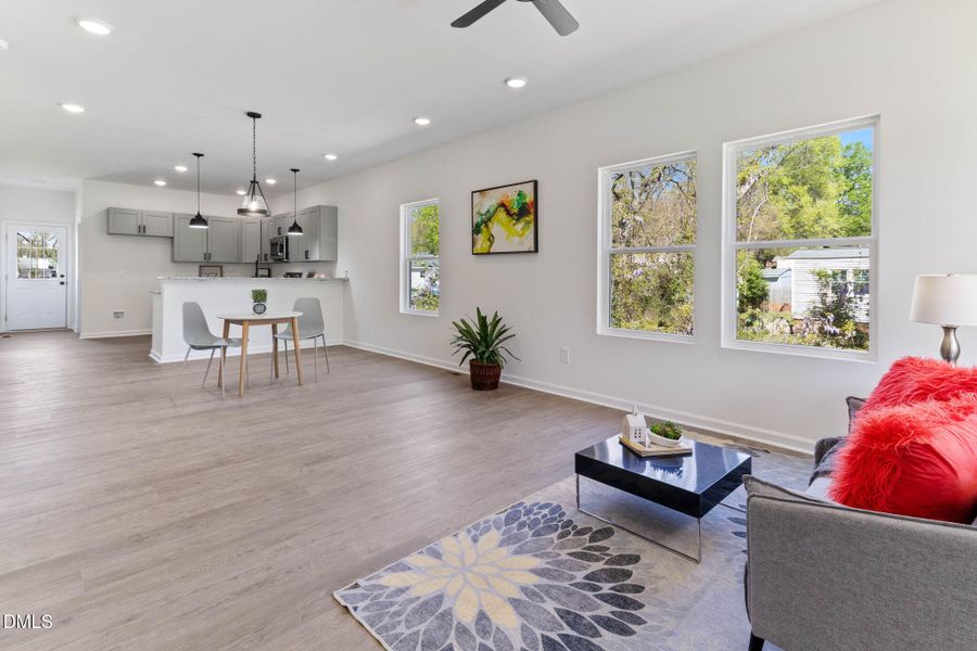 4-web-or-mls-IMG_3130Re