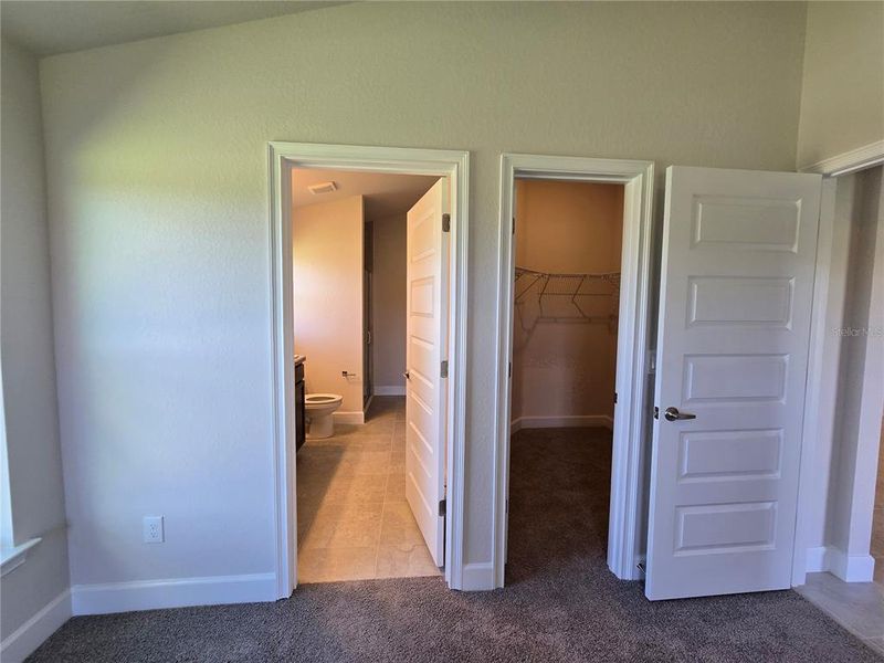 Exterior details and patio area of a home in Twisted Oaks, Beverly Hills (Image 21). Exterior details and patio area of a home in Twisted Oaks, Beverly Hills (Image 21).