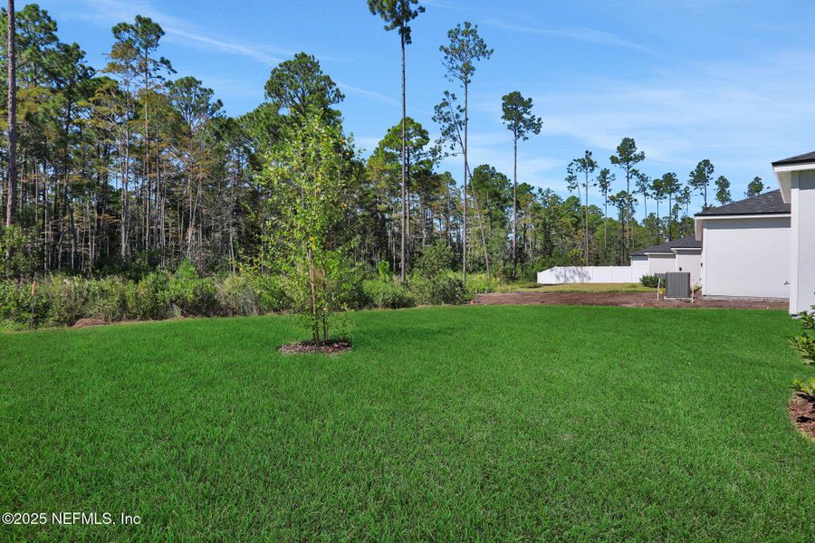 Natural landscape and outdoor views near Cordova Palms in St. Augustine (Image 38).