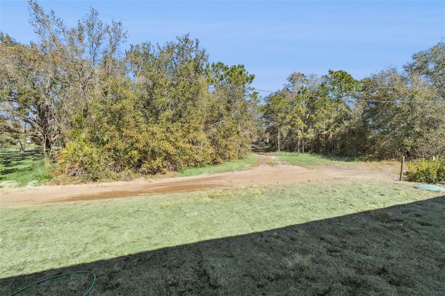 Natural landscape and outdoor views near in Yeehaw Junction (Image 40). Natural landscape and outdoor views near in Yeehaw Junction (Image 40).