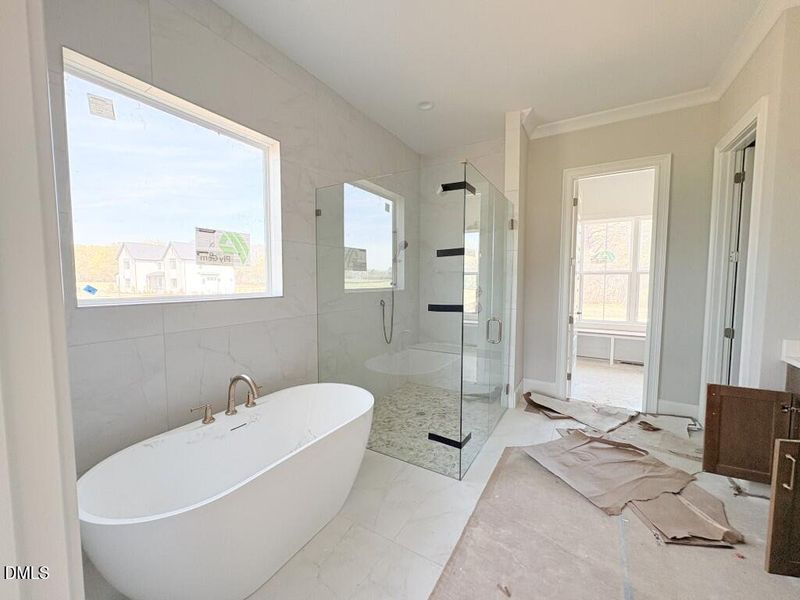 Photo Mar 20 2026, 2 30 40 PM (Medium)