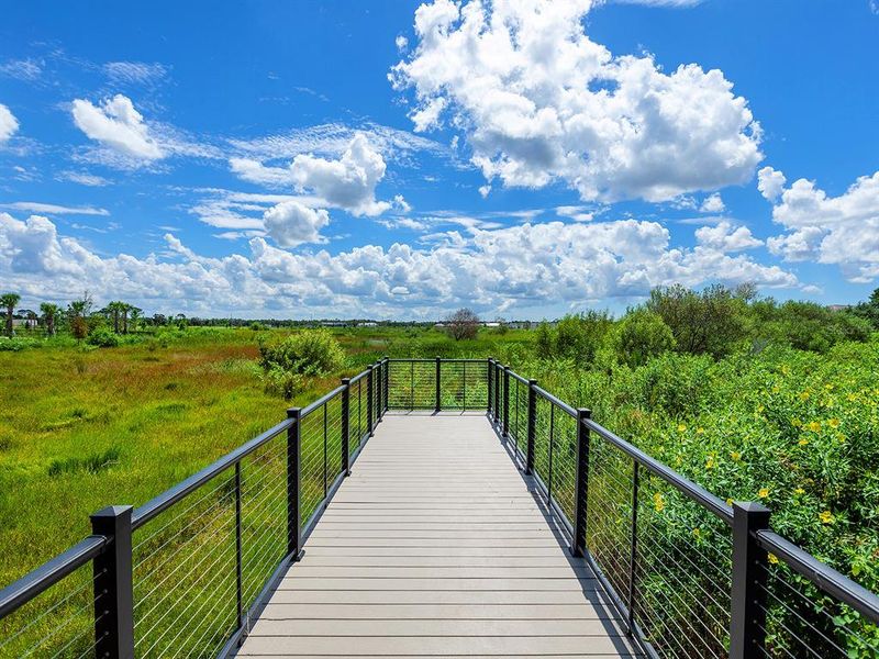 Natural landscape and outdoor views near Wild Blue at Waterside in Sarasota (Image 69). Natural landscape and outdoor views near Wild Blue at Waterside in Sarasota (Image 69).