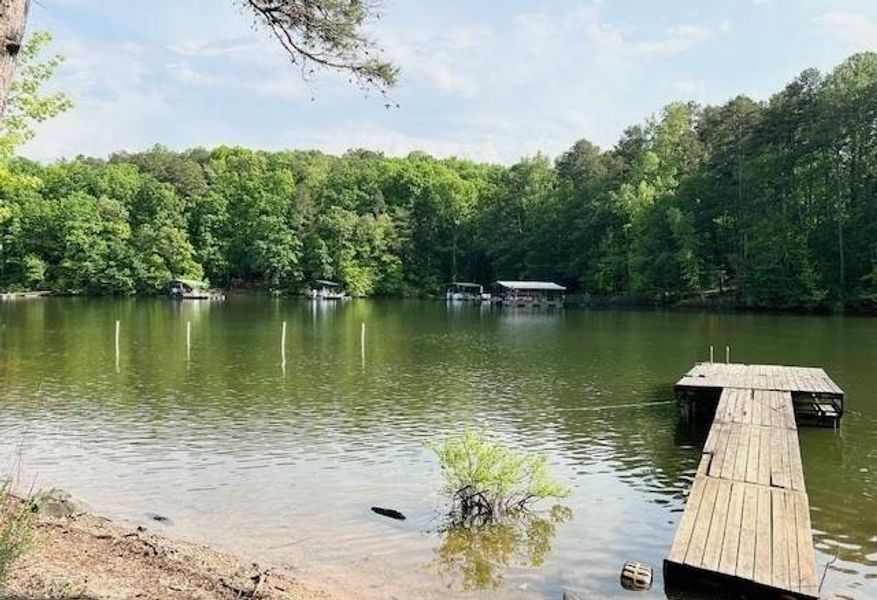 Natural landscape and outdoor views near  in Martin (Image 25).