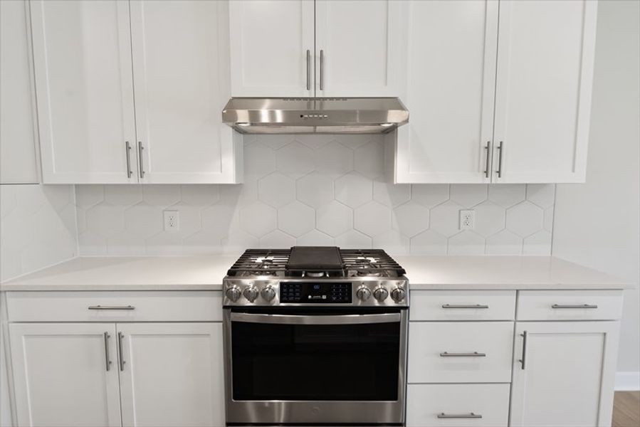 Close-up of interior finishes inside a home in Emory Park, Five Forks (Image 10).